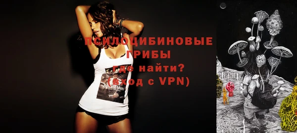 сатива Горняк