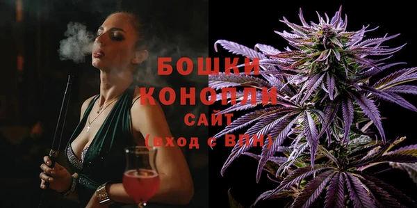 сатива Горнозаводск