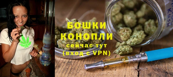 амф Гусь-Хрустальный