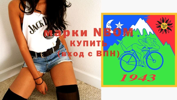 амф Гусь-Хрустальный