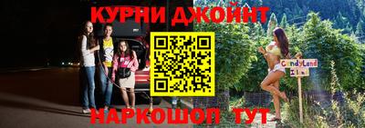 прущие крисы Кингисепп