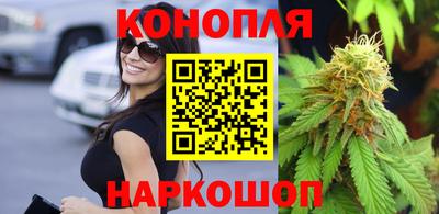 прущие крисы Кингисепп