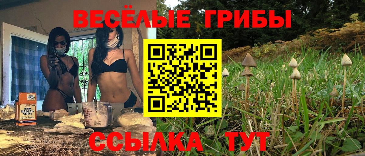 Псилоцибиновые грибы Psilocybine cubensis Курчатов