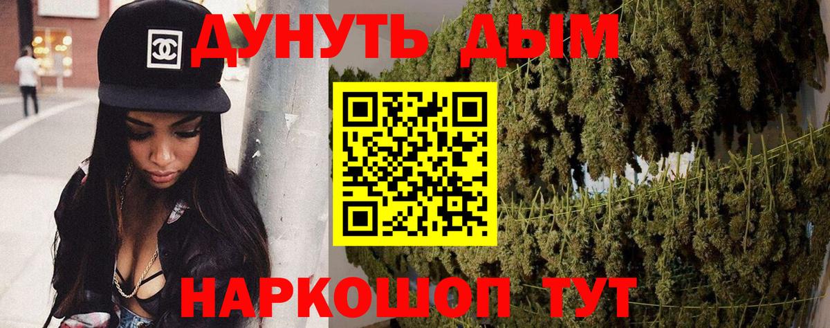 Конопля марихуана  Вход с VPN  Конопля OG Kush  Курчатов 